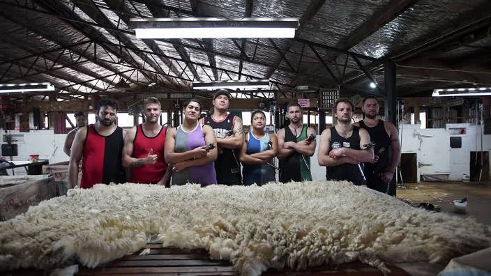 006. Nouvelle-Zélande - les tondeurs de moutons